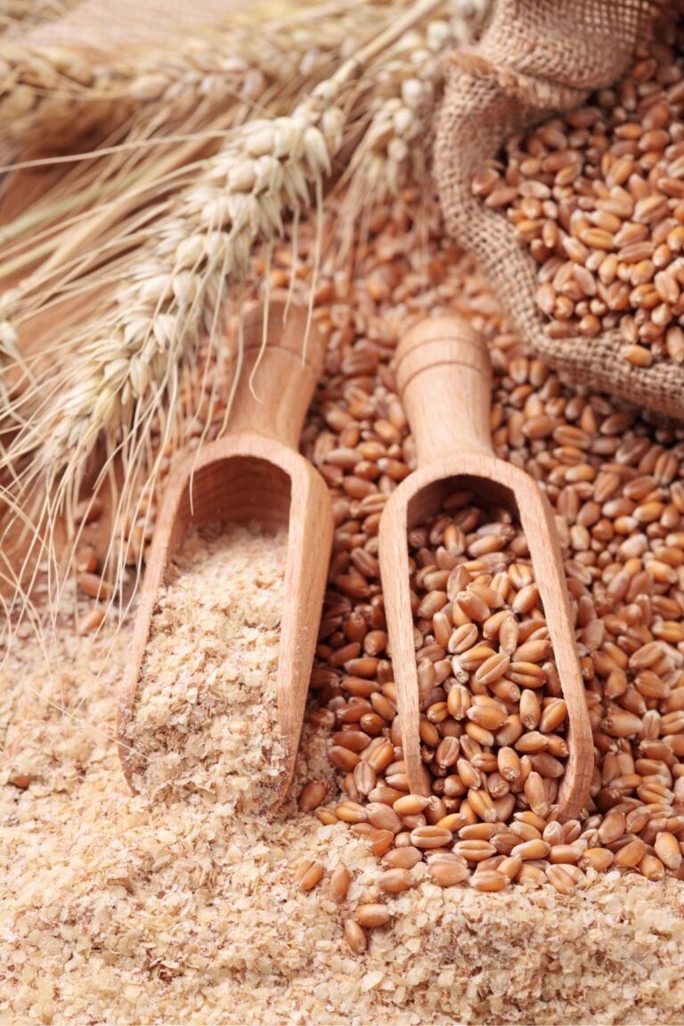 wheat berries sitting on a spoon next to ground wheat flower